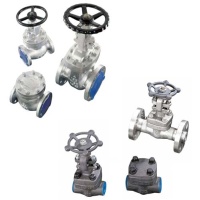 API 600 Cast & API 602 Forged Steel Gate, Globe & Check Valves